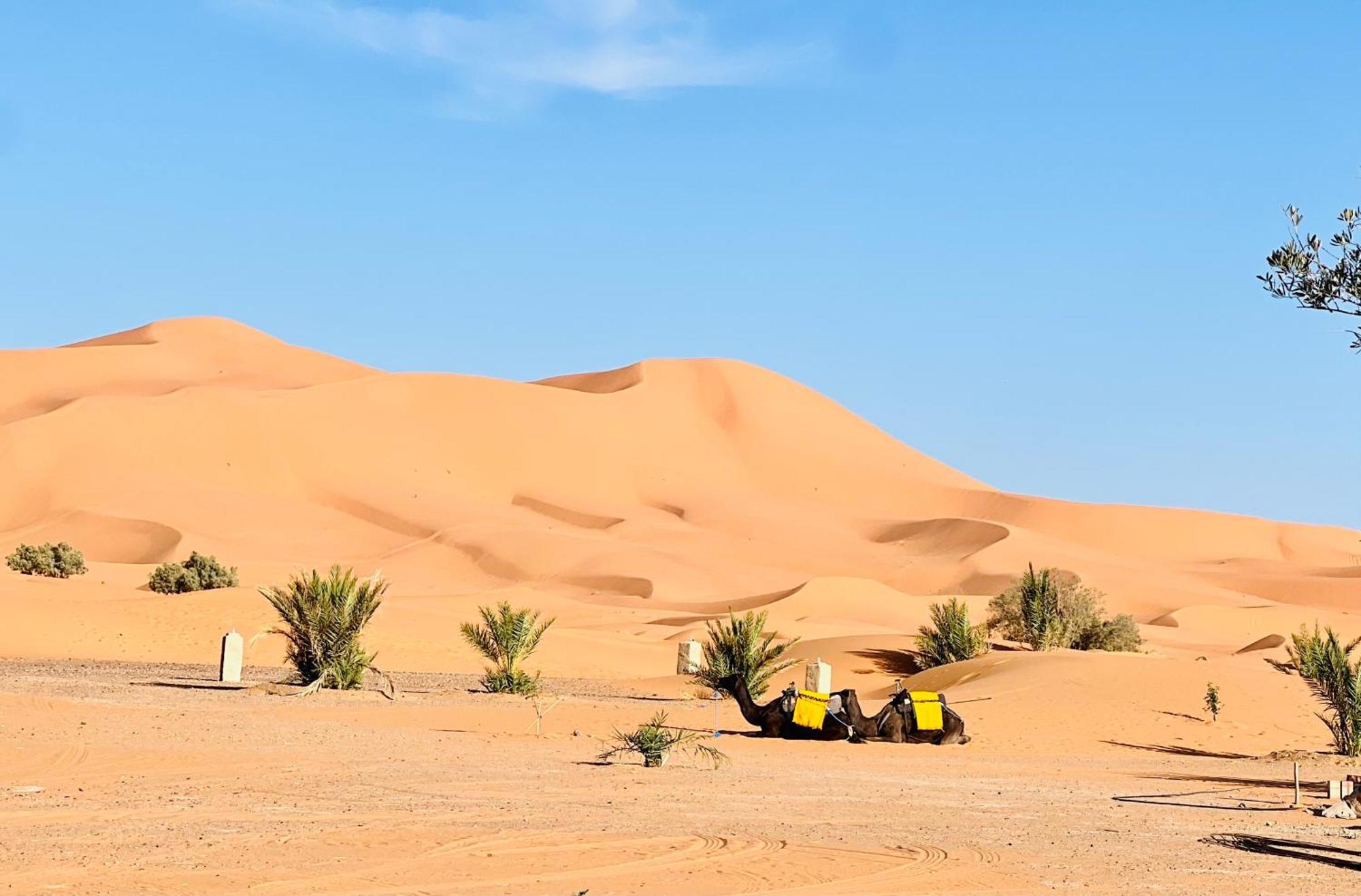 Hotel Camping Les Roses Des Dunes & Piscine Merzouga Esterno foto