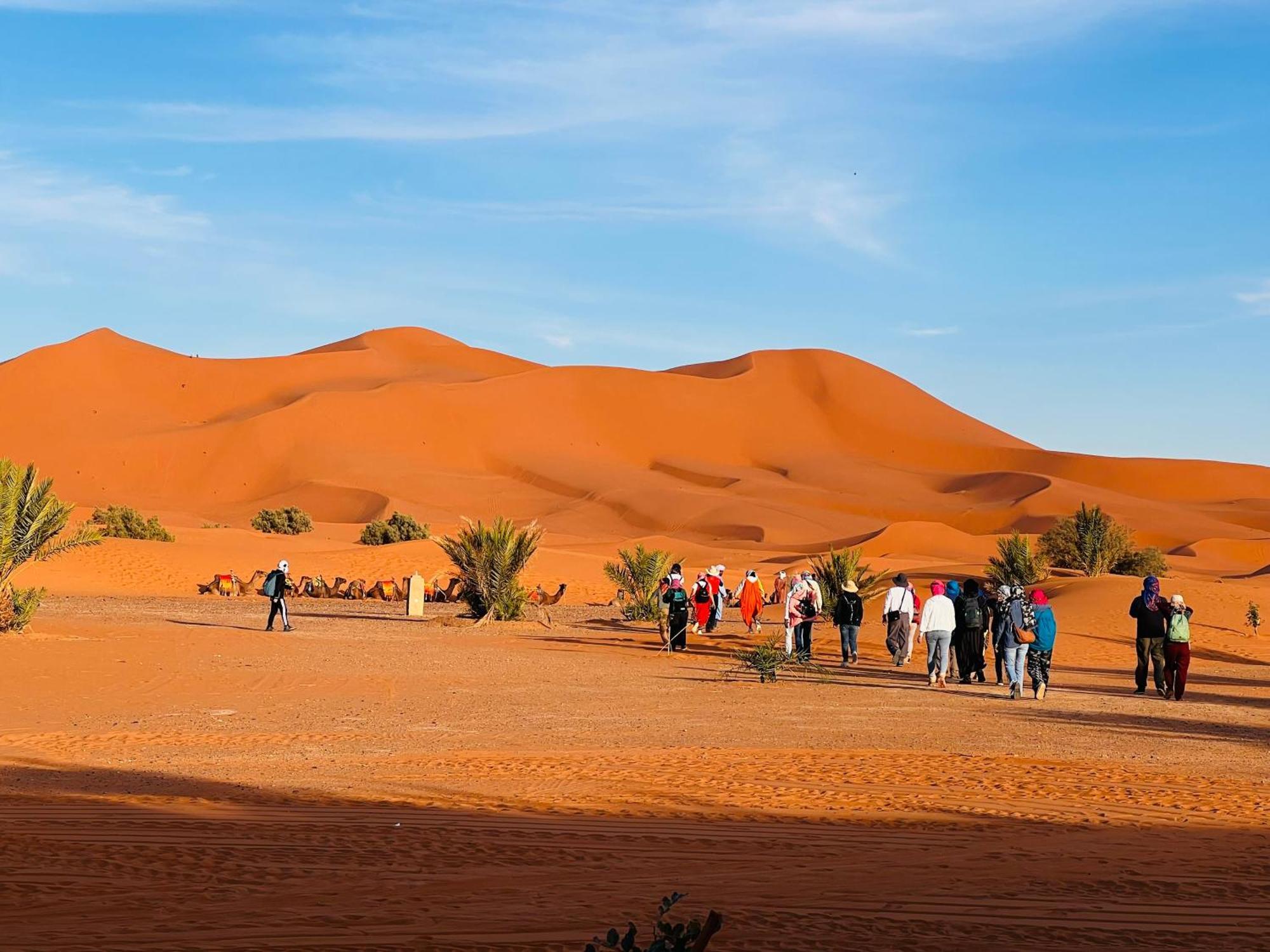 Hotel Camping Les Roses Des Dunes & Piscine Merzouga Esterno foto