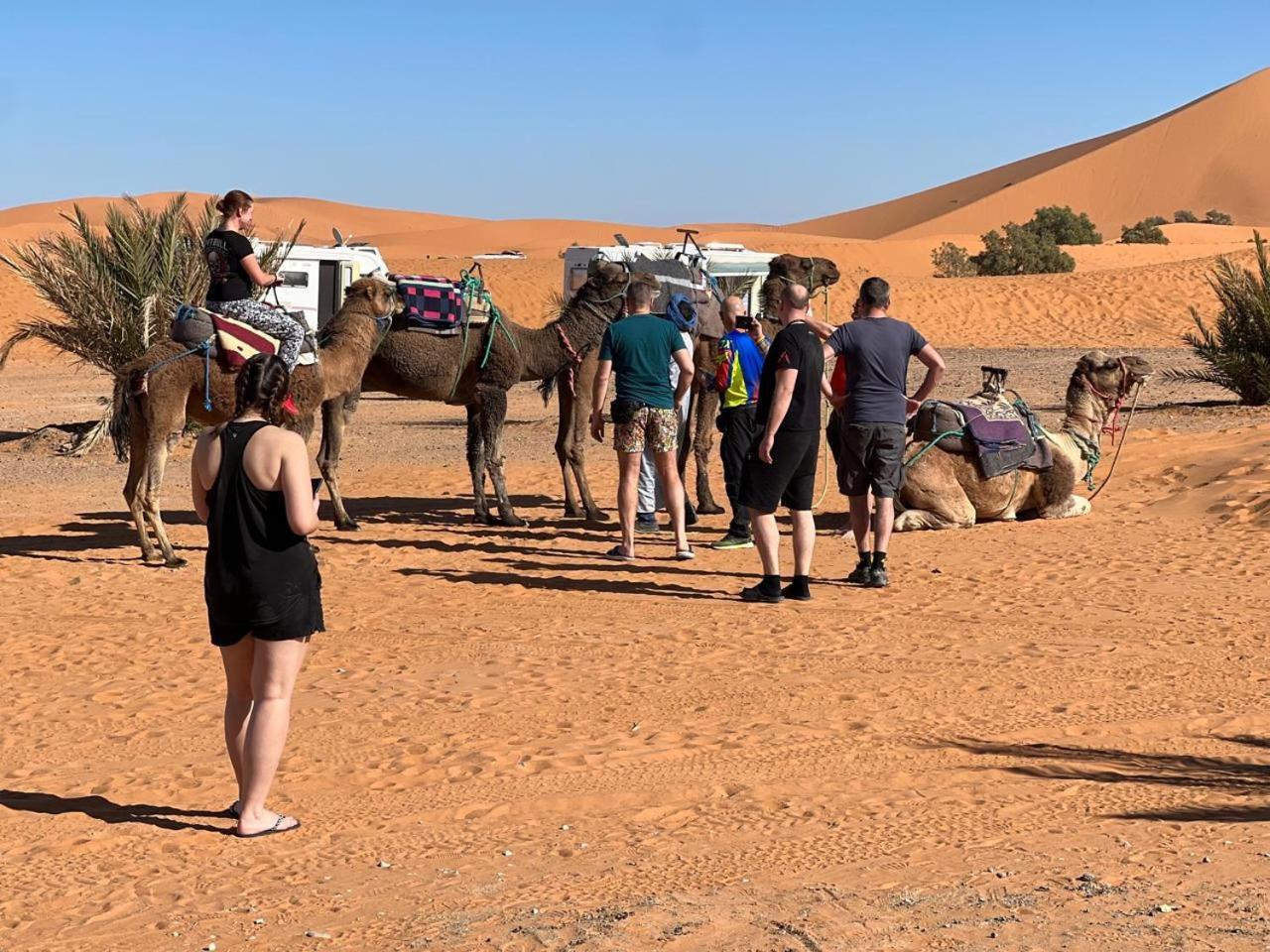 Hotel Camping Les Roses Des Dunes & Piscine Merzouga Esterno foto